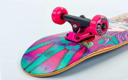 СкейтБорд деревянный от Fish Skateboard Girl and Tiger