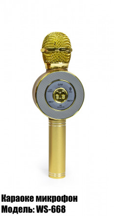 Мікрофон-колонка bluetooth WS-668 Золотий