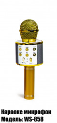 Бездротовий мікрофон-караоке WSTER WS-858 Золотий