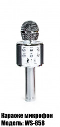 Беспроводной микрофон-караоке WSTER WS-858 Стальной